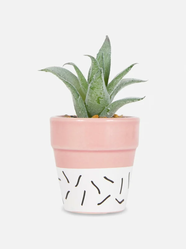 Primark Faux Succulent In Colorful Pot Pink Hot