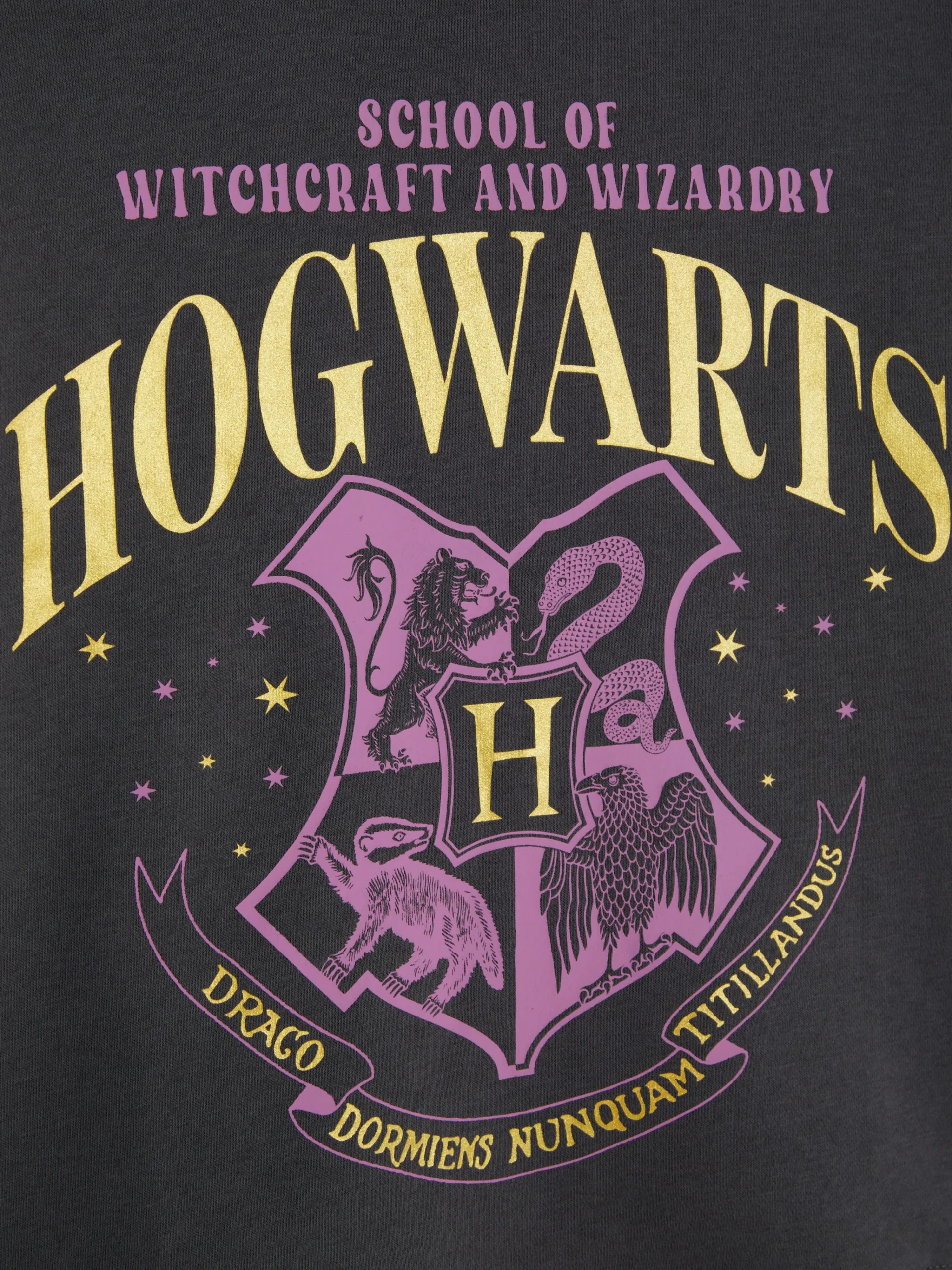 Primark Harry Potter™ Hogwarts Crewneck Sweatshirt Charcoal Cheap