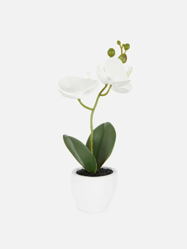 Primark Small Potted Faux Orchid White Hot